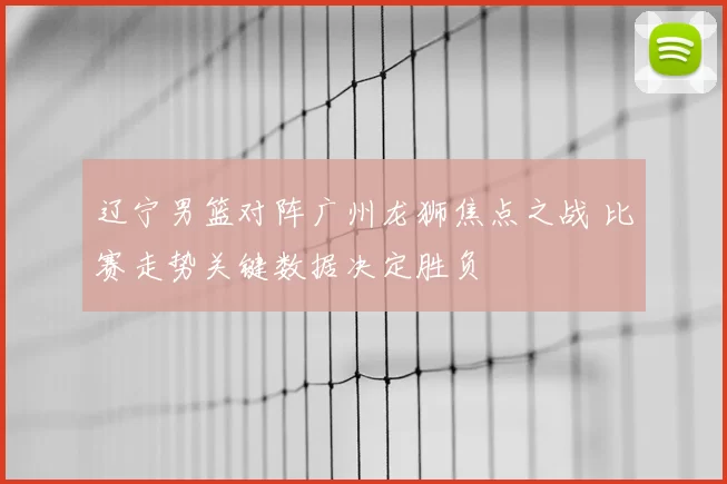 辽宁男篮对阵广州龙狮焦点之战 比赛走势关键数据决定胜负