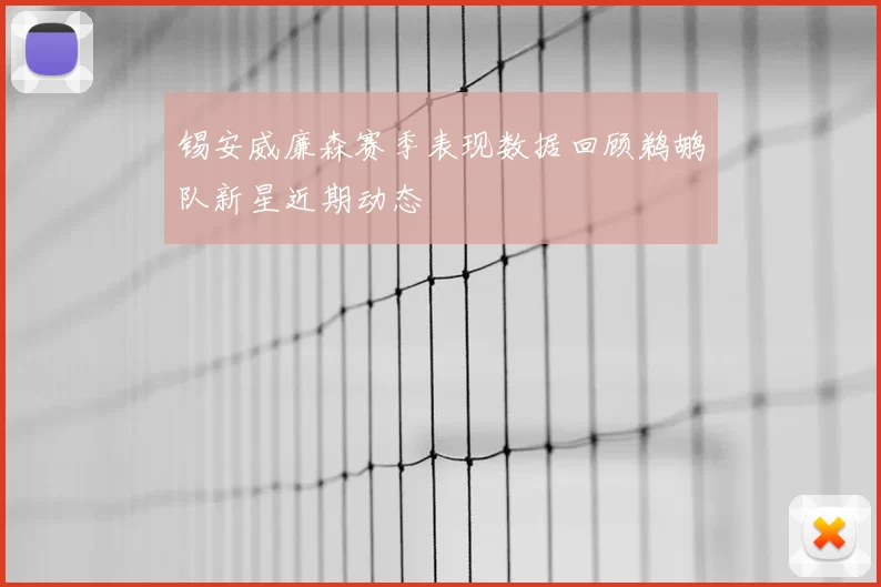 锡安威廉森赛季表现数据回顾鹈鹕队新星近期动态